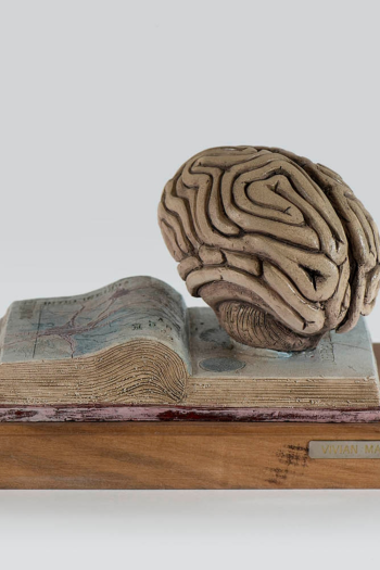 Conocimientos adquiridos